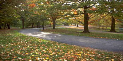 Central Park - New York City