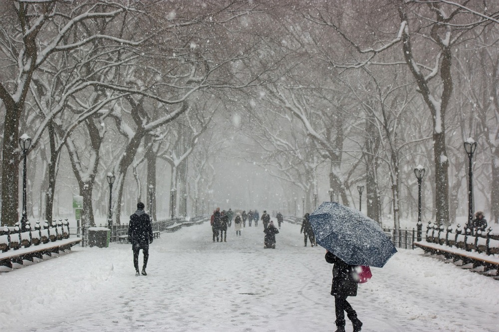 Snowing in Central Park, Manhattan, New York City.