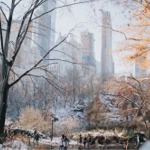 Winter in Central Park, Manhattan, New York City.