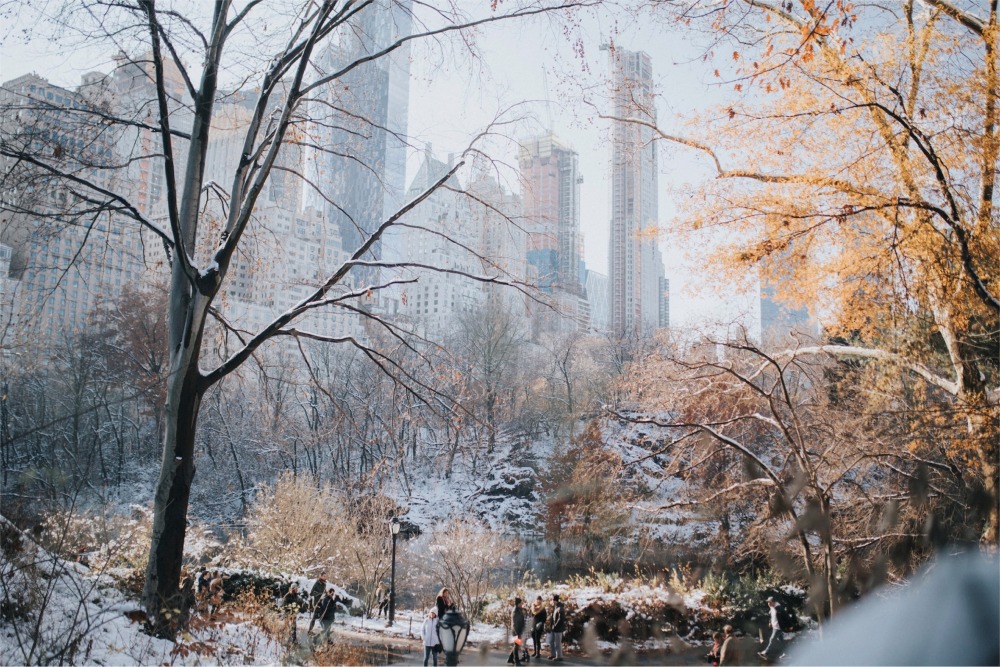 Winter in Central Park, Manhattan, New York City.