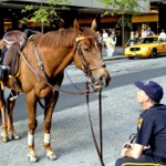 NYPD Mounted Unit, New York.