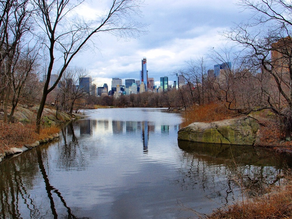 Central Park in Late Fall, Manhattan, New York City.