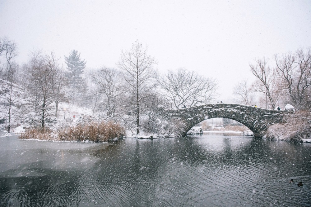 Gapstow Bridge, Central Park, New York.