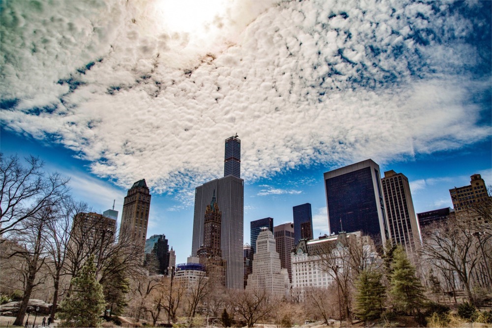 Central Park in Late Fall, Manhattan, New York City.