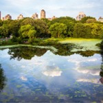 Turtle Pond in Central Park, Manhattan, New York City.