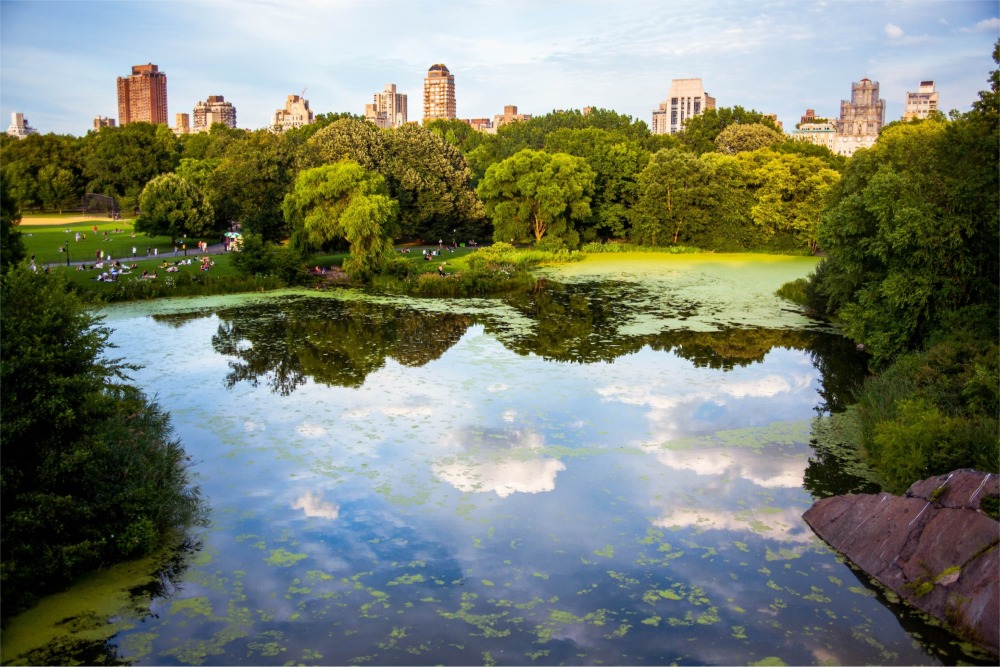 Turtle Pond in Central Park, Manhattan, New York City.