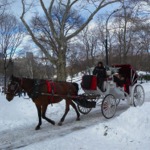 Horse Drawn Carriage, Central Park, New York.