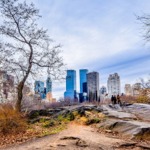 Central Park in late fall, Manhattan, New York City.