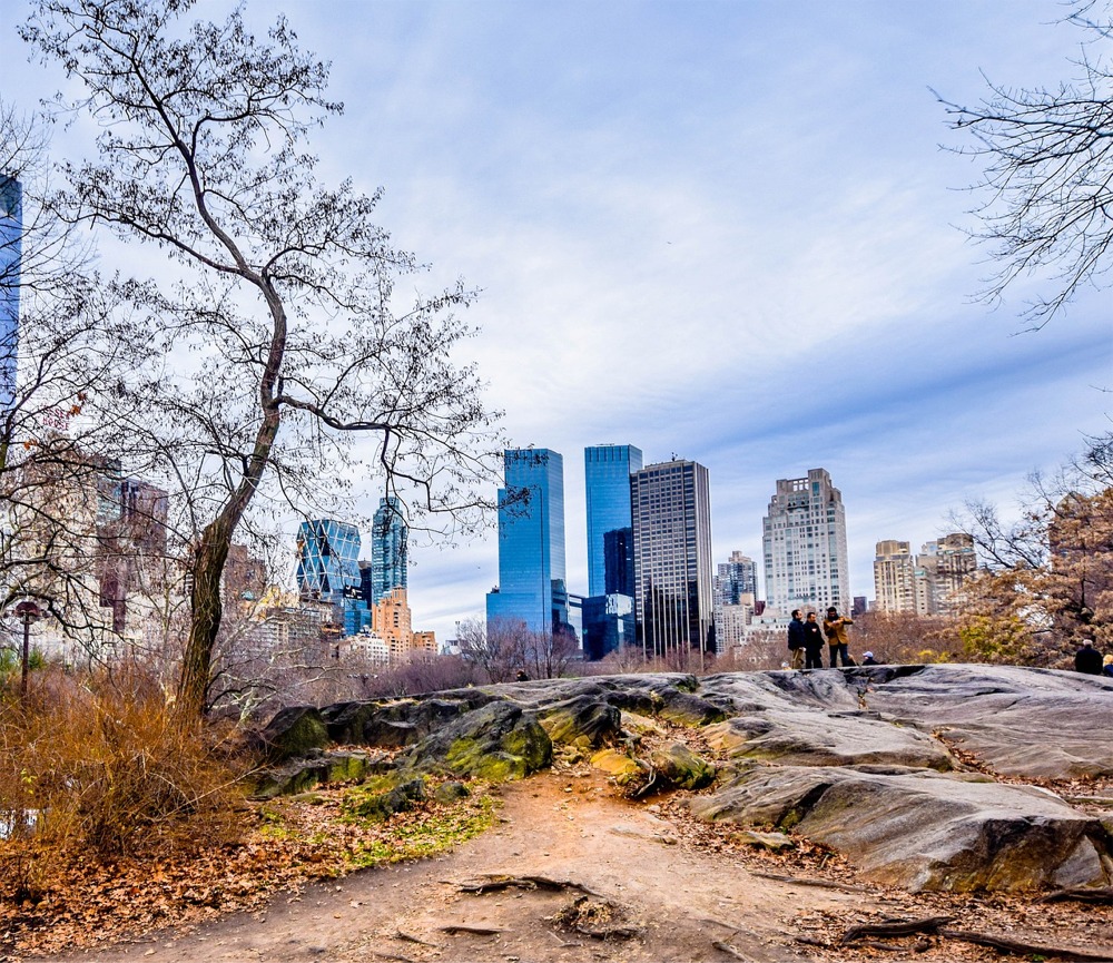 Central Park in late fall, Manhattan, New York City.