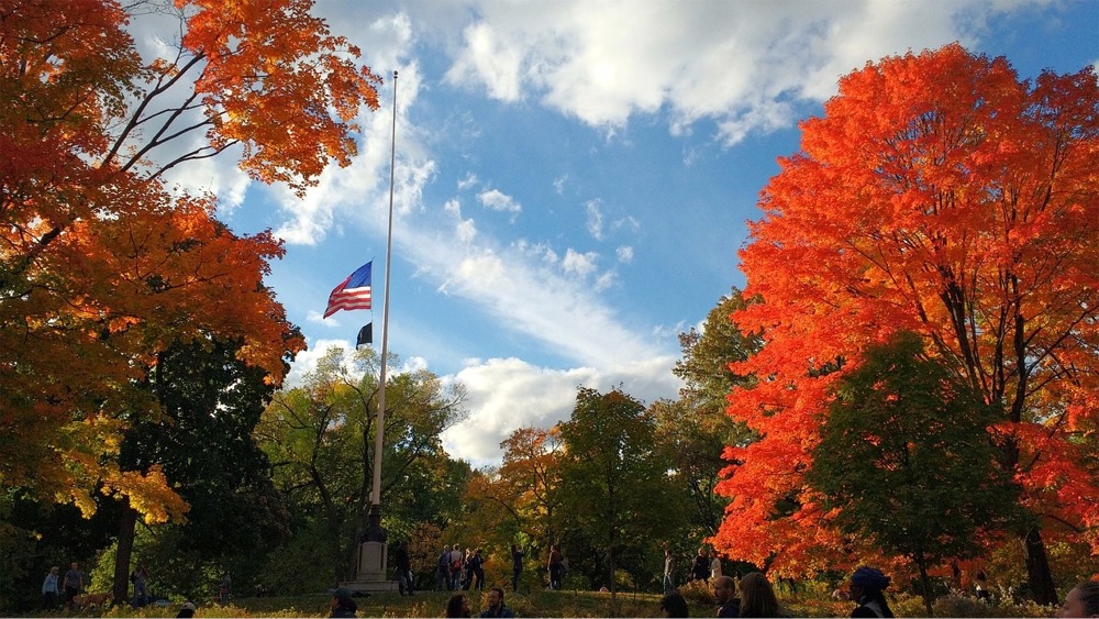 Old Glory at Half-Staff in Central Park, Manhattan, New York City.