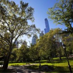 Central Park in Summer.