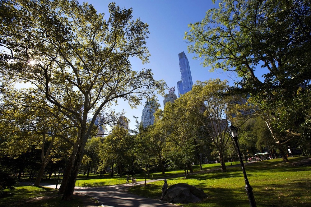 Central Park in Summer.