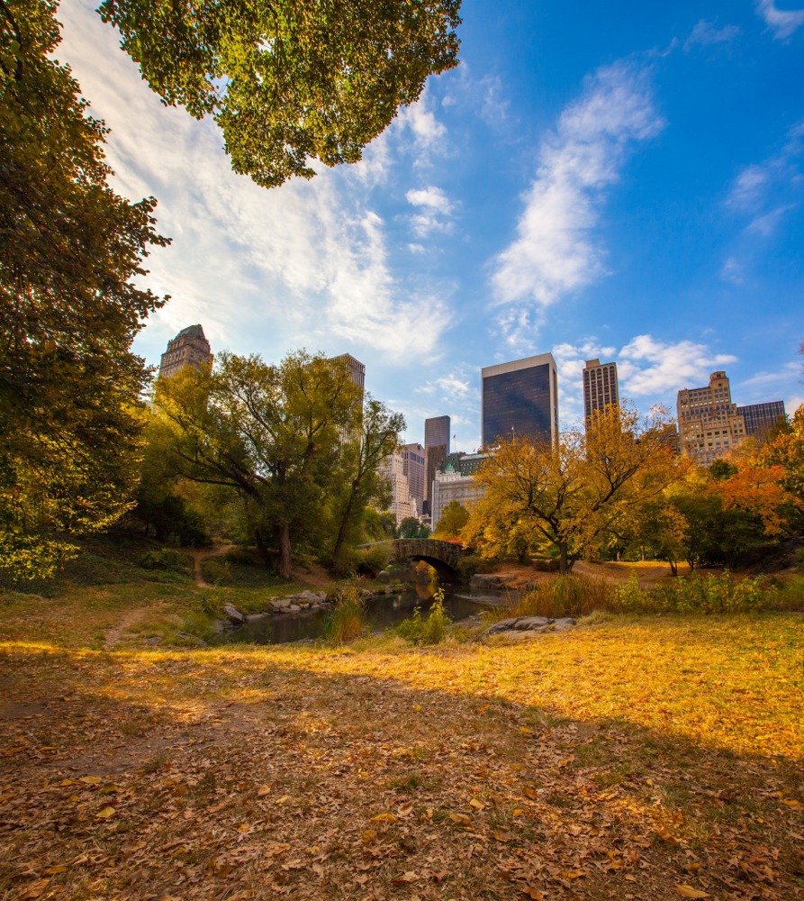 Gapstow Bridge, Central Park, Manhattan, New York City.